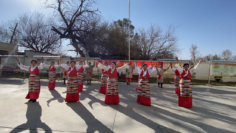 活力体育组织丨金珠西路全民健身站:十年磨一剑,舞动健康新篇章 活力体育组织丨金珠西路全民健身站:十年磨一剑,舞动健康新篇章