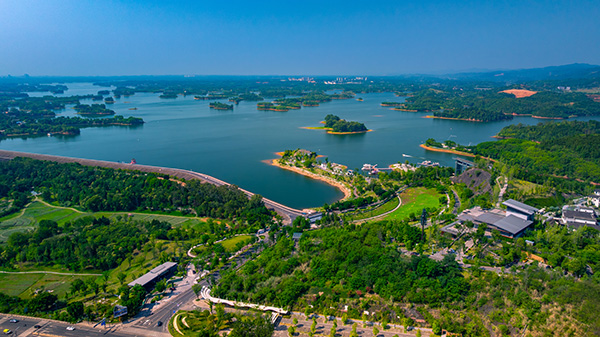 世运探馆ing丨极速破浪VS花样弄潮！在这里看运动员炫浪竞逐世运会