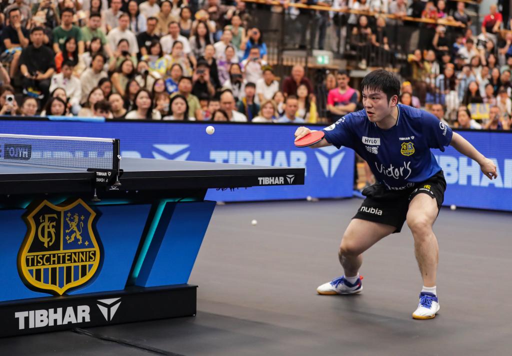 樊振东德甲联赛首秀失利