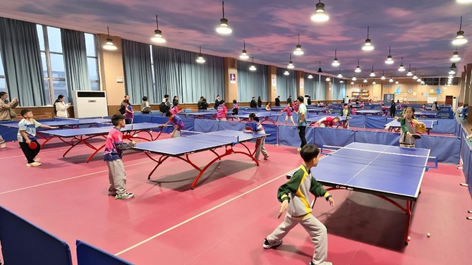 【组图】滨州第二实验小学体教融合：冠军精神引领下的教育新实践