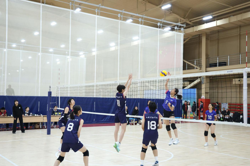 青少年赛场展风采，排球精神薪火相传