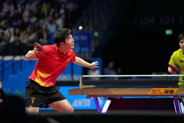 十五运会丨樊振东男单夺冠：卫冕之后，步履不停