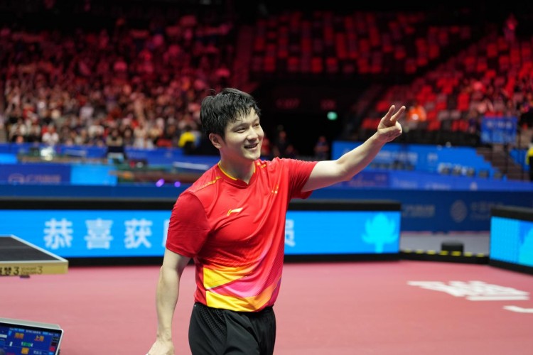 十五运会丨樊振东男单夺冠：卫冕之后，步履不停