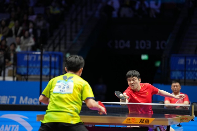 十五运会丨樊振东男单夺冠：卫冕之后，步履不停