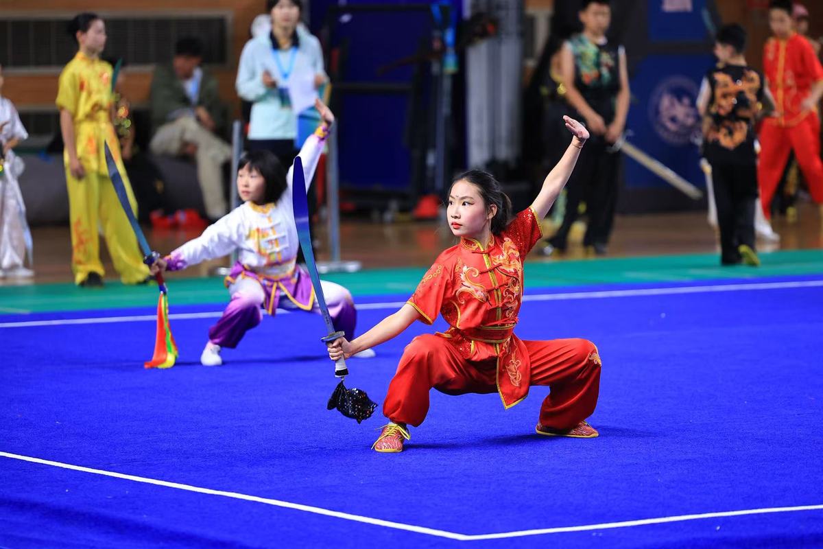 拳影翻飞,锋芒绽放——2025年北京市体育传统项目学校武术套路比赛收官