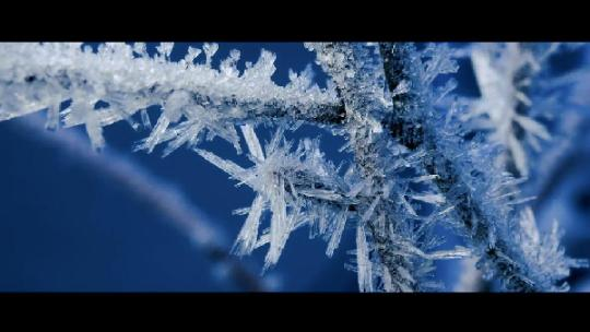 一起向未来 | 冰雪里的奥义