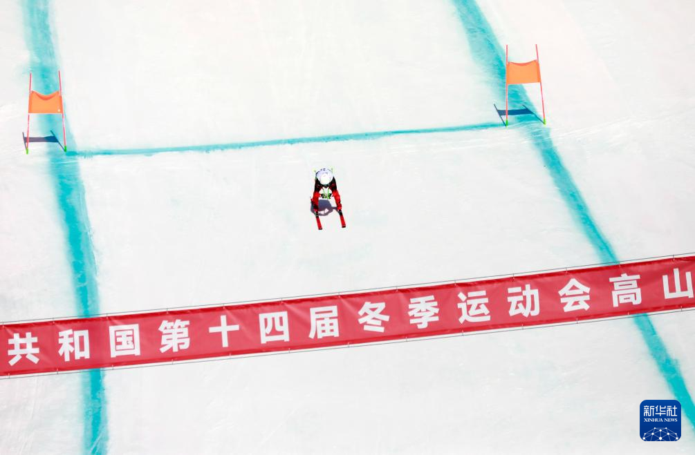 全冬会｜高山滑雪——公开组男子滑降赛况