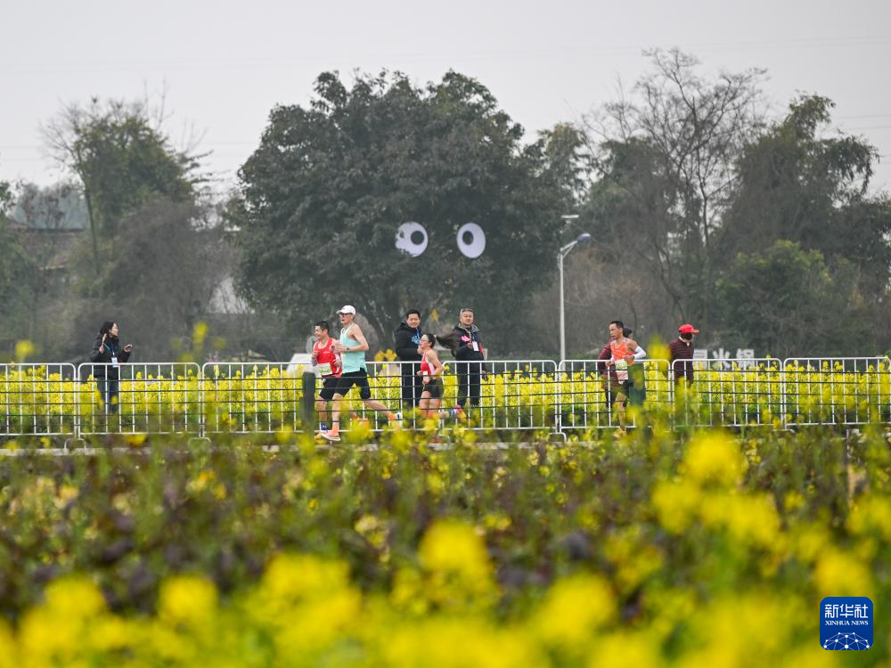 2025崇州半程马拉松开跑