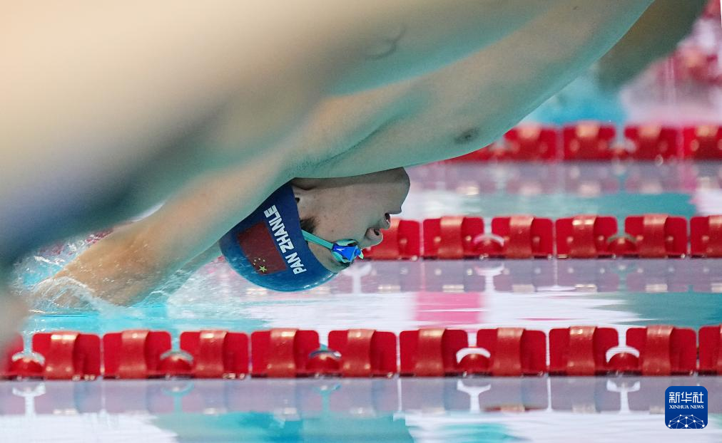 游泳世锦赛|游泳——男子100米自由泳半决赛赛况