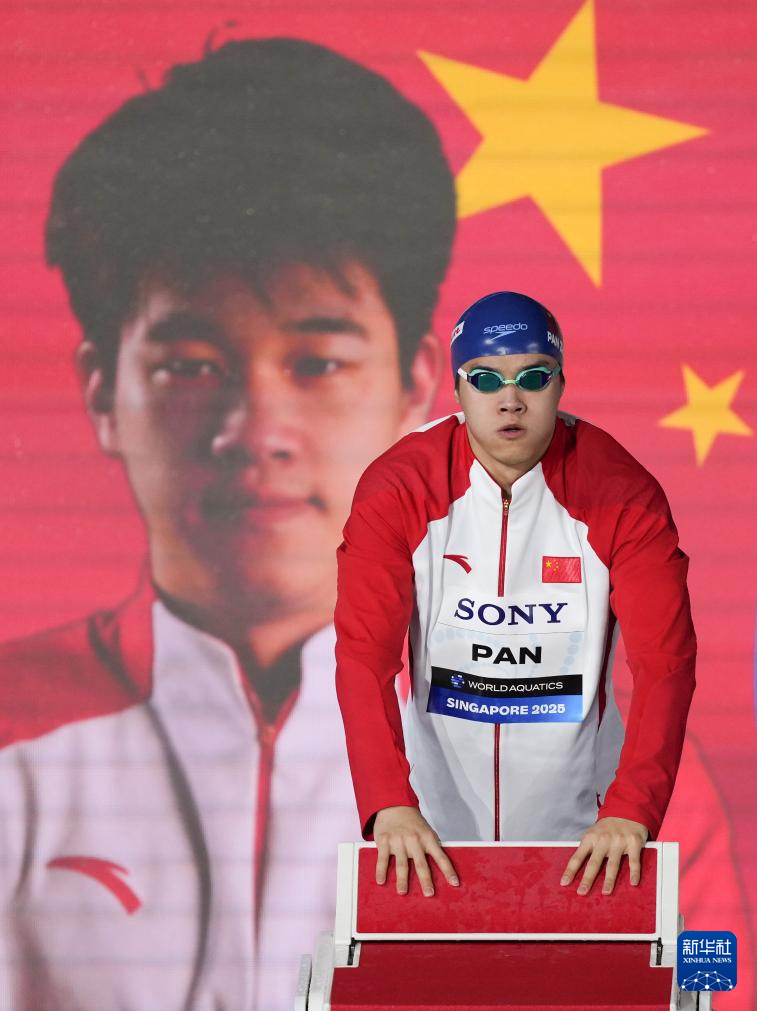 游泳世锦赛|游泳——男子100米自由泳半决赛赛况