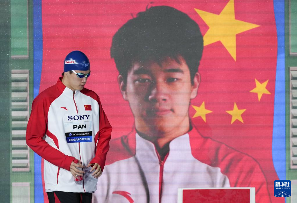 游泳世锦赛|游泳——男子100米自由泳半决赛赛况