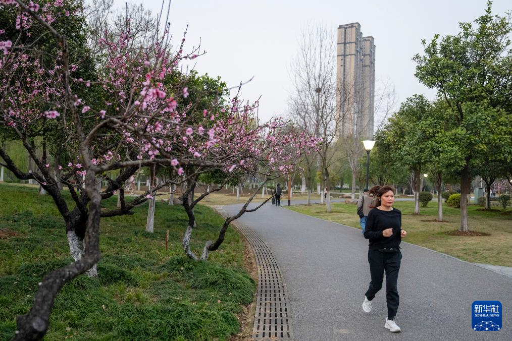 湖北:“15分钟健身圈”绘就健康生活新图景